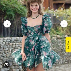 Green Gables Bebe Bloom Gown